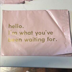 Poly Mailers 10 x 13 set 12